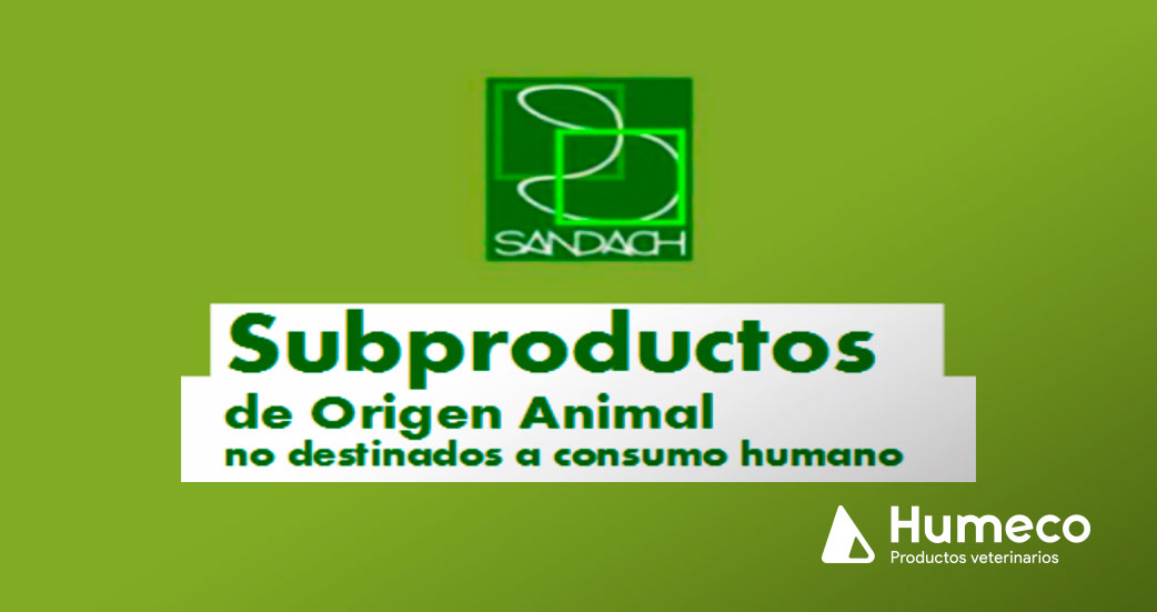 ¿Sabes que es un SANDACH? - Humeco